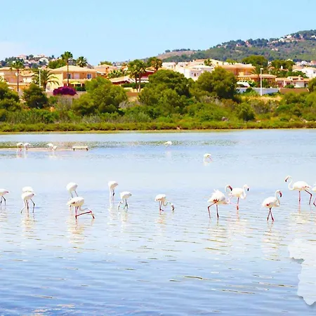 Costablancadreams Real Ifach Urban In *